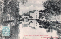 Delcampe - 45* CHATILLON COLIGNY  Moulin De La Fosse   RL60,0056 - Chatillon Coligny