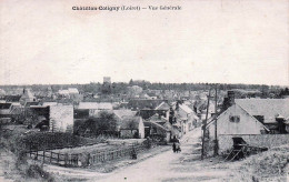 Delcampe - 45* CHATILLON COLIGNY   Vue Generale    RL60,0043 - Chatillon Coligny