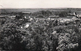 Delcampe - 45* CHATILLON COLIGNY    Vue Generale    RL60,0040 - Chatillon Coligny