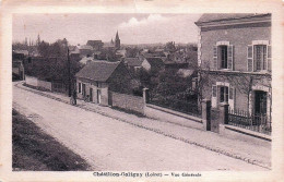 Delcampe - 45* CHATILLON COLIGNY   Vue Generale    RL60,0045 - Chatillon Coligny