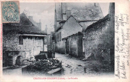 Delcampe - 45* CHATILLON COLIGNY  Le Paradis    RL60,0026 - Chatillon Coligny