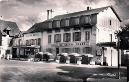 Delcampe - 45* CHATILLON COLIGNY  Hotel Du Cheval Blanc  CPSM(9x14cm)   RL60,0041 - Chatillon Coligny