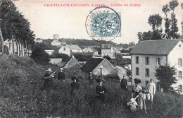 Delcampe - 45* CHATILLON COLIGNY  Vallee Du Loing   RL60,0046 - Chatillon Coligny