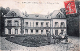 Delcampe - 45* CHATILLON COLIGNY  Le Chateau De Riviere   RL60,0013 - Chatillon Coligny