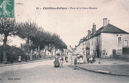 Delcampe - 45* CHATILLON COLIGNY  Place De La Croix Blanche   RL60,0027 - Chatillon Coligny