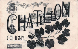 Delcampe - 45* CHATILLON COLIGNY   Multi Vues   RL60,0015 - Chatillon Coligny