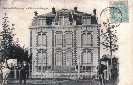 Delcampe - 45* COURTENAY    Chateau Des Bougros     RL60,1050 - Courtenay