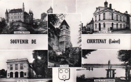 Delcampe - 45* COURTENAY   « souvenir »  Multi Vues CPSM(9x14cm)     RL60,1041 - Courtenay