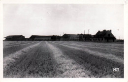 Delcampe - 45* BAZOCHES LES GALLERANDES     Ferme De La Briere   RL60,1185 - Bauernhöfe