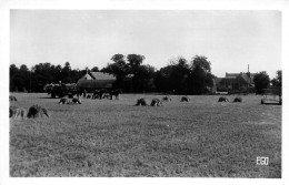 Delcampe - 45* BAZOCHES LES GALLERANDES   Ferme Et Bois De Landreville    RL60,1181 - Bauernhöfe