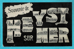 Delcampe - * Heist Aan Zee - Heyst (Kust - Littoral) * (Tytgat) Souvenir De Heyst Sur Mer, Plage, Bateau, Ane, Animée Old - Heist