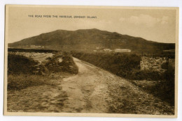 Delcampe - BARDSEY ISLAND : THE ROAD FROM THE HARBOUR - Caernarvonshire