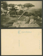 Delcampe - China Old Postcard Xingyuecheng Manchuria Pine Tree Garden Rocks 南滿洲熊岳城 松遊園奇岩丘陵 - China