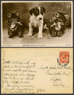 Delcampe - Dog Puppy Cats Kitten Kittens How Happy Could I Be With Either 1923 Old Postcard - Katten