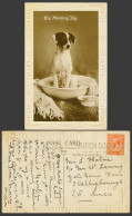 Delcampe - Smooth Fox Terrier Dog Puppy His Morning Dig 1926 Old Real Photo Emboss Postcard - Acteurs