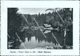 Delcampe - Bf506 Cartolina Tarvisio Fusine Laghi Chalet Belvedere Provincia Di Udine - Udine