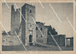 Delcampe - Bf524 Cartolina Pratovecchio Romena Castello Il Cassero Arezzo - Arezzo