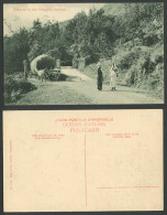 Delcampe - Ceylon Old Postcard Entrance To Hakgalla Gardens Nuwera Eliya Bullock Cart Woman - Sri Lanka (Ceylon)