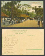 Delcampe - Ceylon 1923 Old Colour Postcard Bambalapitiya Road Lead To Mount Lavinia, Street - Sri Lanka (Ceylon)