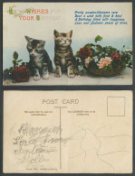 Delcampe - Cat Kitten Cats Kittens Flowers Best Wishes For Your Birthday Old Color Postcard - Katten
