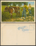Delcampe - China Old Colour Postcard Chinese Farmers Plowing With Oxen, Near Peking, Cattle - China