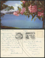 Delcampe - Bermuda 1951 Old Postcard Oleanders Flowers & Panorama - Bermuda