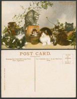Delcampe - Cats Kittens, Specs We Growed, Pots Plants, Cat Kitten, Pets Old Colour Postcard - Katten