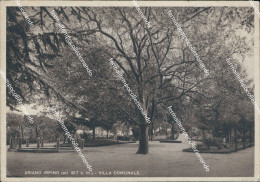 Delcampe - Bf649 Cartolina Ariano Irpino Villa Comunale Provincia Di Avellino - Avellino