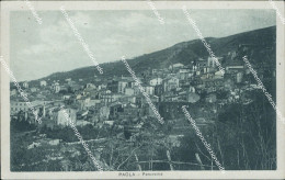 Delcampe - Bg87 Cartolina Paola Panorama Provincia Di Cosenza - Cosenza