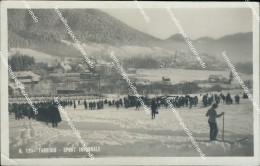 Delcampe - Bg89 Cartolina Tarvisio Sport Invernale Provincia Di Udine - Udine