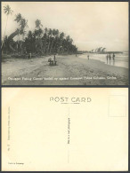 Delcampe - Ceylon Old Postcard Outrigger Fishing Canoes Boats Hauled Cocoanut Palms Colombo - Sri Lanka (Ceylon)