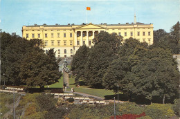 Delcampe - BR4581 Oslo Slottet The Royal Palace  Norway - Norwegen