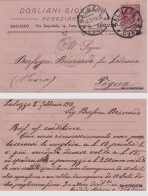 Delcampe - # SALUZZO: Testatina DOGLIANI GIOVANNI - Negoziante   1913 - Cuneo