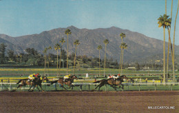 Delcampe - * CALIFORNIA - Arcadia, Los Angeles - Horses Battle, Santa Anita Park - Other & Unclassified