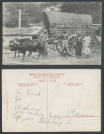Delcampe - Ceylon Old Postcard Native Double Bullock Cart, Native House Street Scene Ethnic - Sri Lanka (Ceylon)