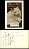 Delcampe - Cat Kitten Happy May Your Birthday Be Greetings Old Embossed Real Photo Postcard - Katten