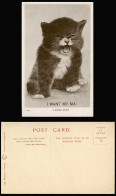 Delcampe - Cat I WANT MY MA! A Kitten Study Old Real Photo Postcard Cats Kittens Pet Animal - Katten