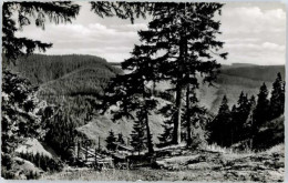 Delcampe - St Andreasberg Harz St Andreasberg Rosstrappe - St. Andreasberg