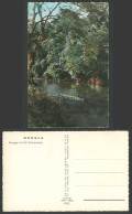 Delcampe - Cameroon Old Colour Postcard Douala Paysage A Kribi Cameroun Canoe Boat On River - Cameroun