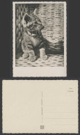 Delcampe - A Cat Little Kitten, Basket Pet Animal Old Larger Real Photo Postcard Photograph - Katten