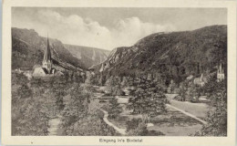 Delcampe - Thale Harz Kirche St. Petri Eingang Ins Bodetal - Thale