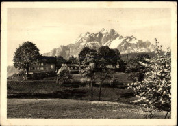 Delcampe - 6000 Luzern Lucerne - Pension Restaurant Pilatusblick - 50474647 - Luzern