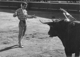 Delcampe - CPSM Corrida-Diego Puerta-La Mort Du Toro     L4807 - Stierkampf