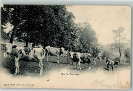 Delcampe - Chasseral 1903 Gebrauchsspuren Kühe Auf Der Weide - 10583788 - Sonstige & Ohne Zuordnung