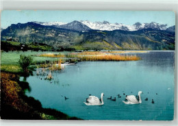 Delcampe - 6000 Luzern Lucerne - Vierwaldstätter See - 39493462 - Luzern