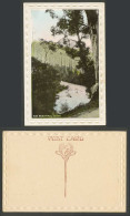 Delcampe - Australia Old Embossed Colour Postcard Our Beautiful Bush Stream River Scene H&B - Autres & Non Classés