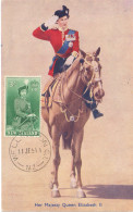 Delcampe - New Zealand 1954 QEII 3/- Queen Elizabeth II Maximum Card Wellington Maxicard (Trple) - Neuseeland