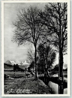 Delcampe - 3600 Thun - 10311675 - Thun