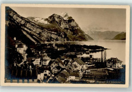 Delcampe - 8872 Weesen 1916 - Leistkamm Wehrliverlag - 39691735 - Weesen