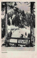 Delcampe - Bayernhuette 1362m Brauneck Lenggries Bayern Winterlandschaft Schneelandschaft T - Lenggries